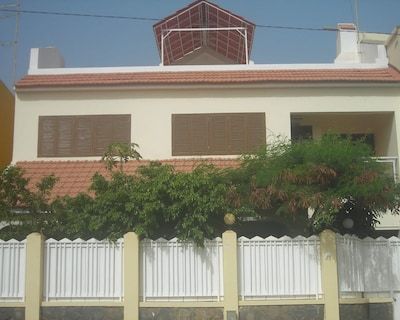 O Jardim do Vinho
